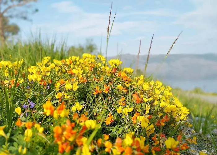 8 Person In Leka-by Traum Casa de Férias Frovik
